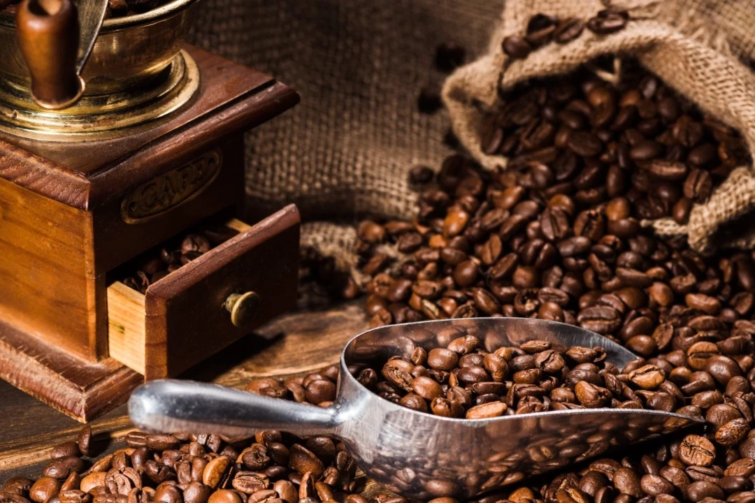 coffee grinder with scoop royal hindia