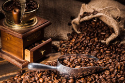 Unlocking The Secrets To Become A Coffee Exporter in Indonesia