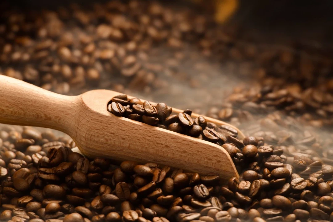 coffee cup coffee beans royal hindia