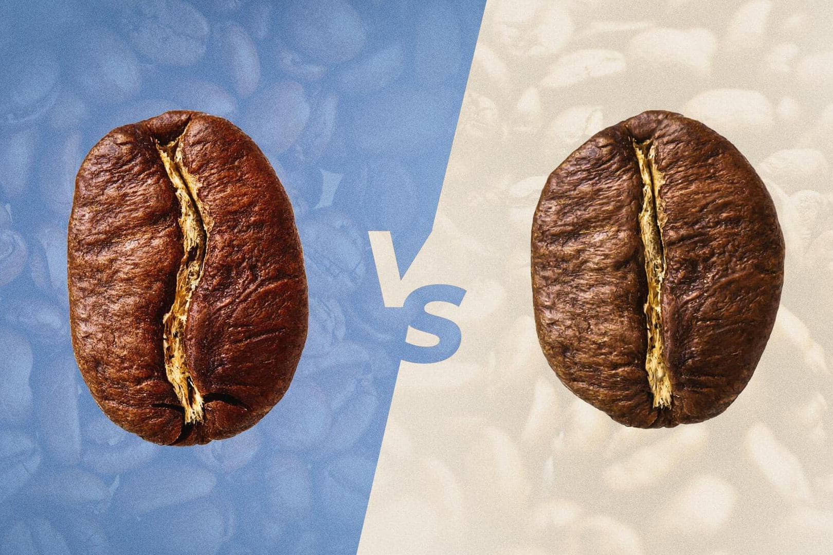 Robusta vs arabika