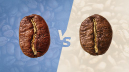 Robusta vs arabika