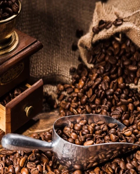 Unlocking The Secrets To Become A Coffee Exporter in Indonesia