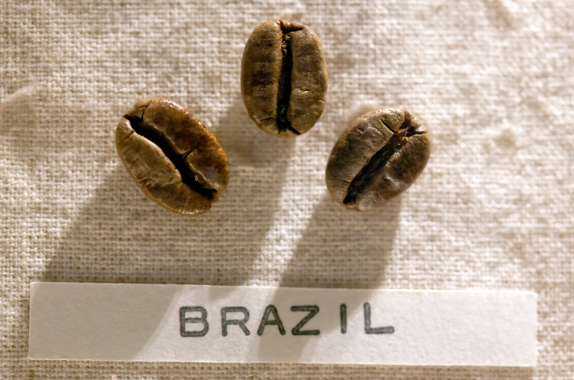 Royal Hindia Brazilian Coffee Beans