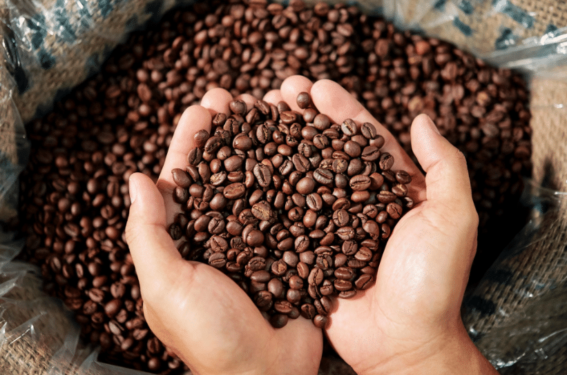 Kopi Brazil Royal Hindia