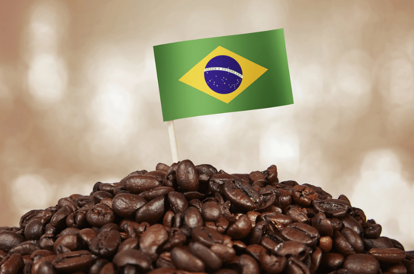Kopi Brazil Royal Hindia