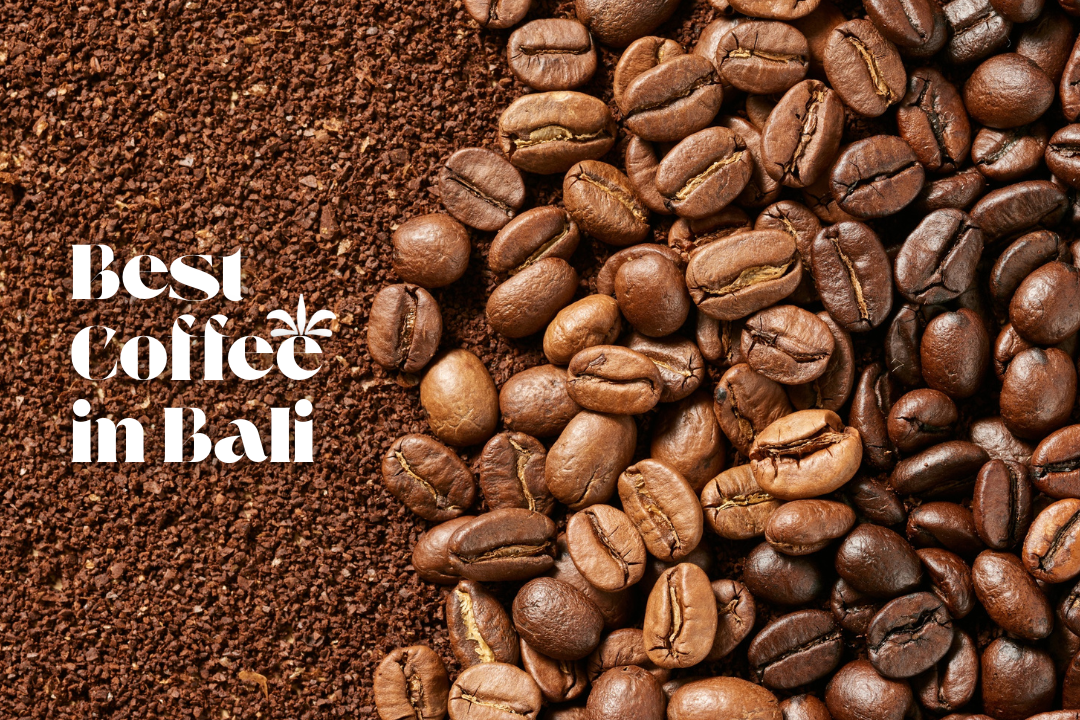 Best Coffee in Bali