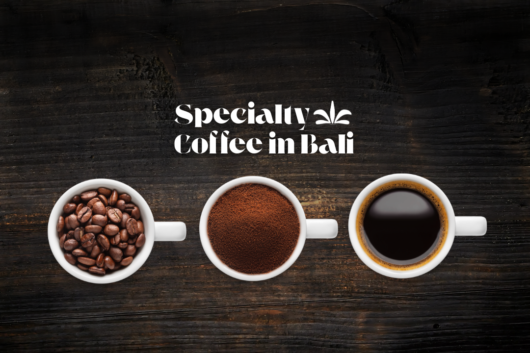 Specialty Coffee in Bali