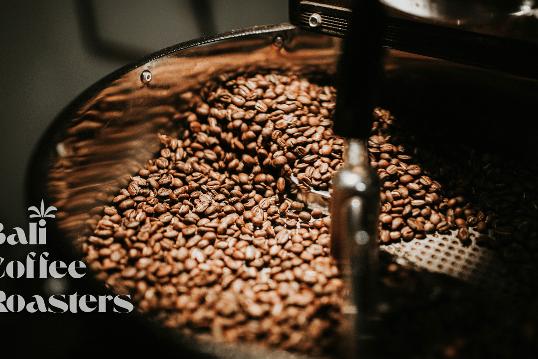 No.1 Bali Coffee Roasters: Royal Hindia