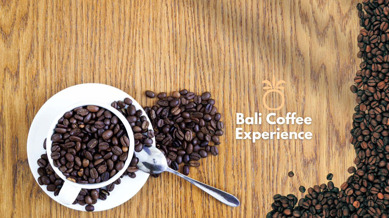 Bali Coffee Experience