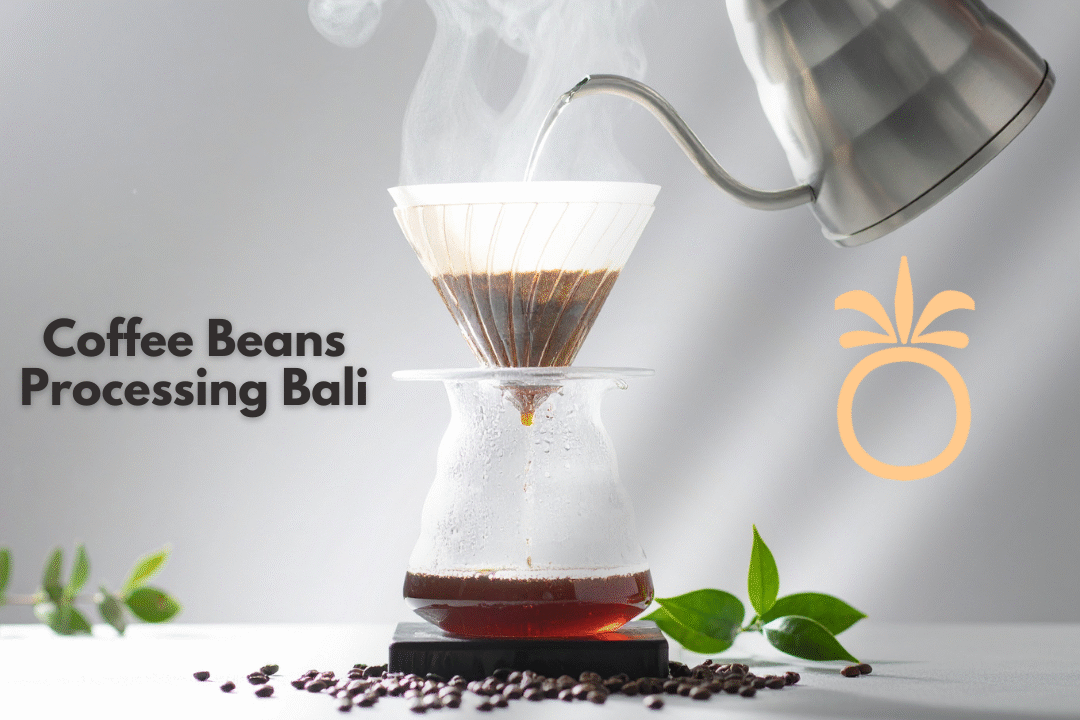Coffee Beans Processing Bali