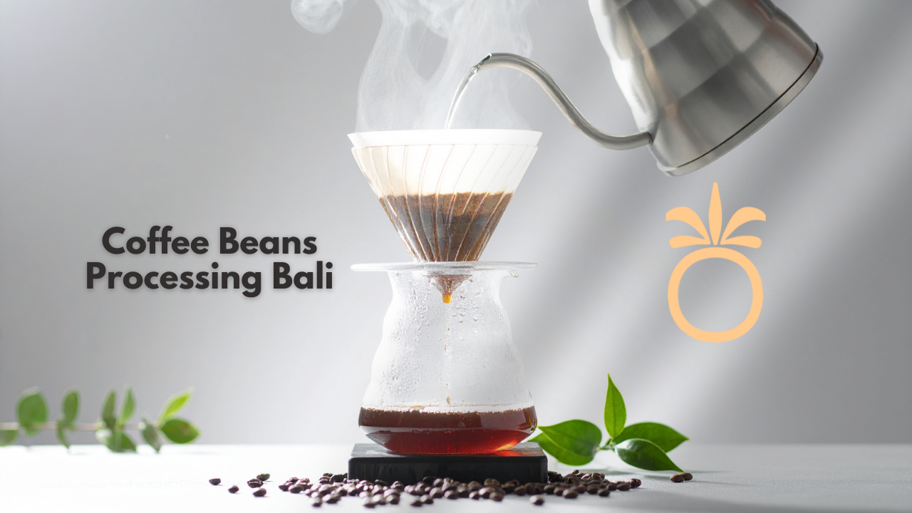 Coffee Beans Processing Bali
