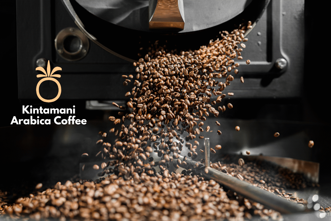 Bali Kintamani Arabica Coffee