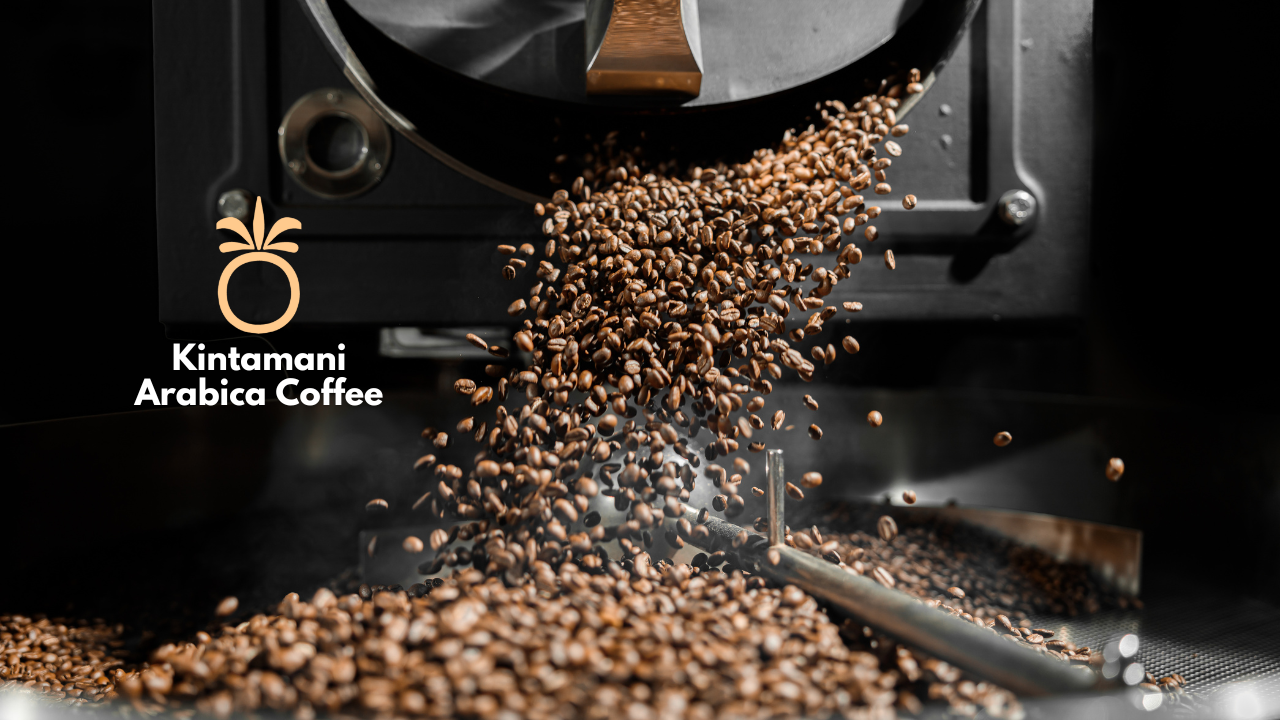 Bali Kintamani Arabica Coffee