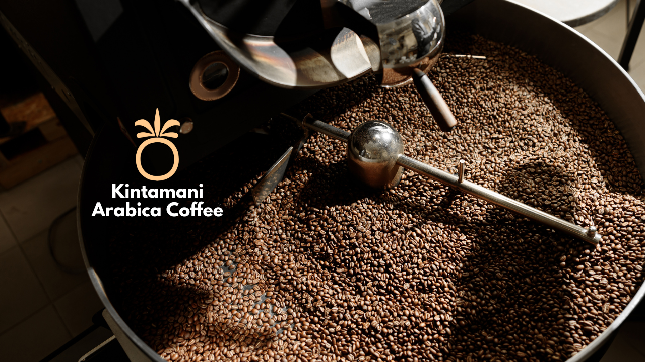 Bali Kintamani Arabica Coffee
