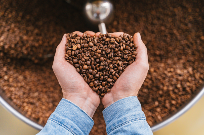 Premium Coffee Beans Bali