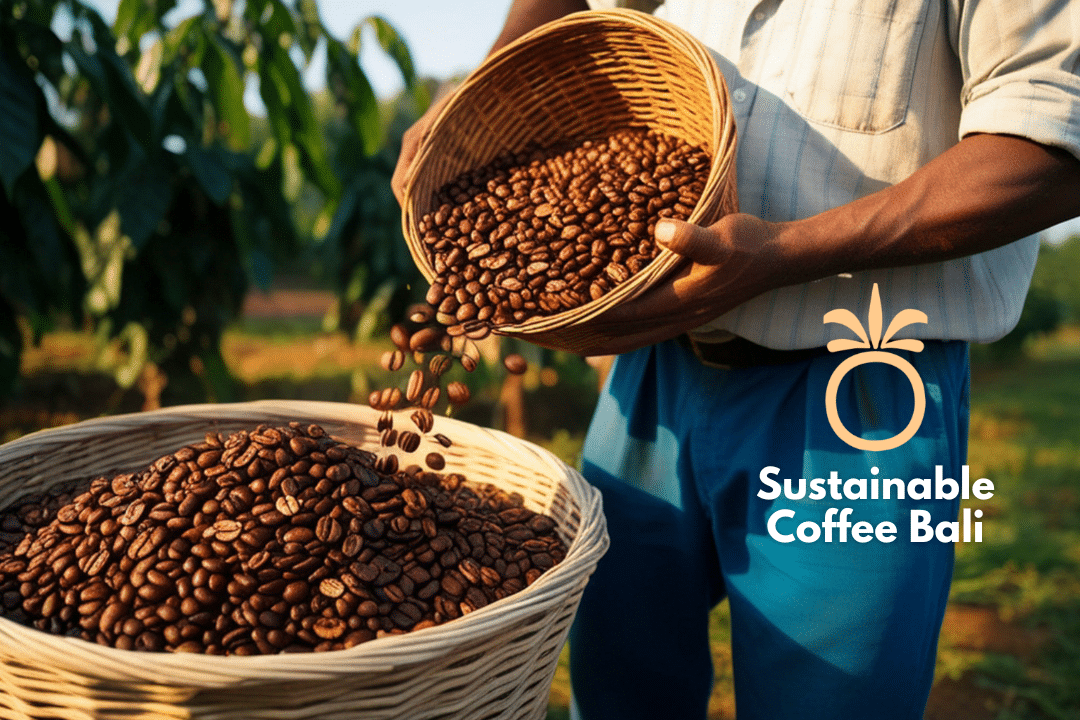 Sustainable Coffee Bali