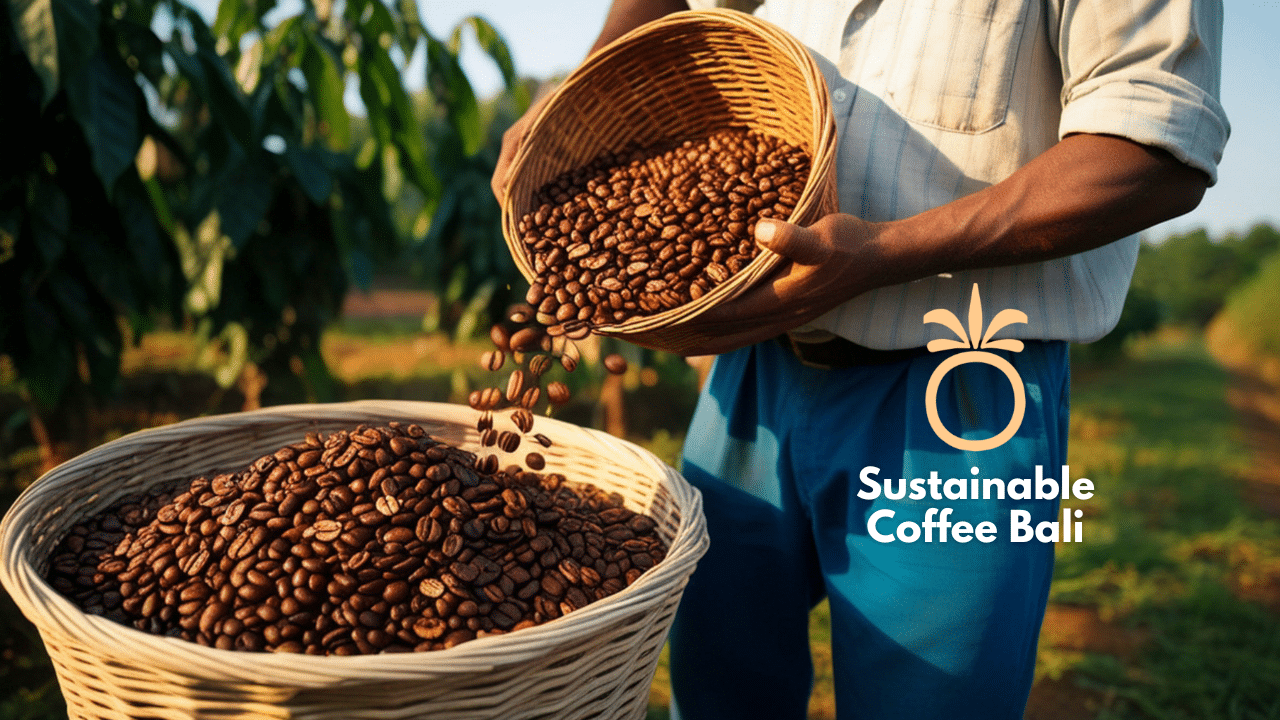 Sustainable Coffee Bali
