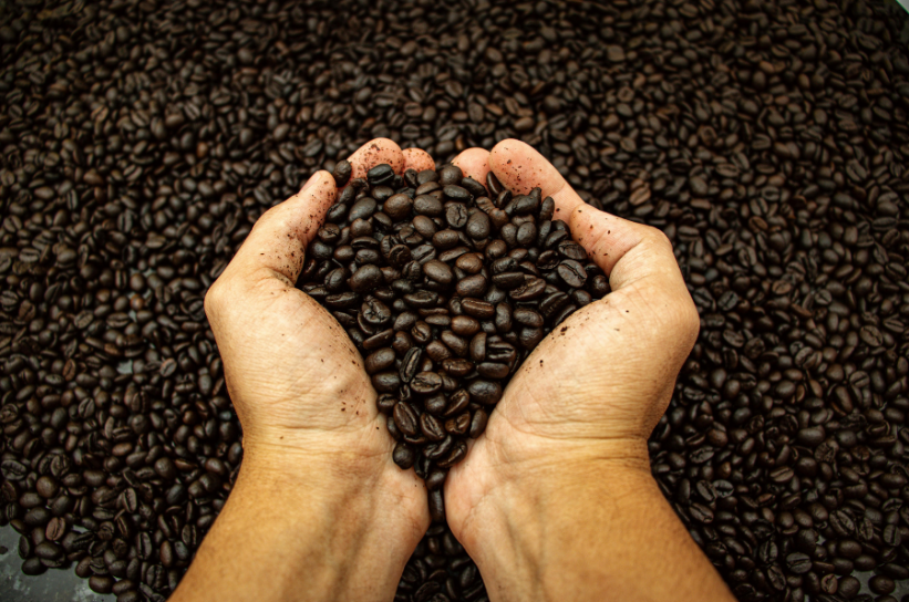 Premium Coffee Beans Bali