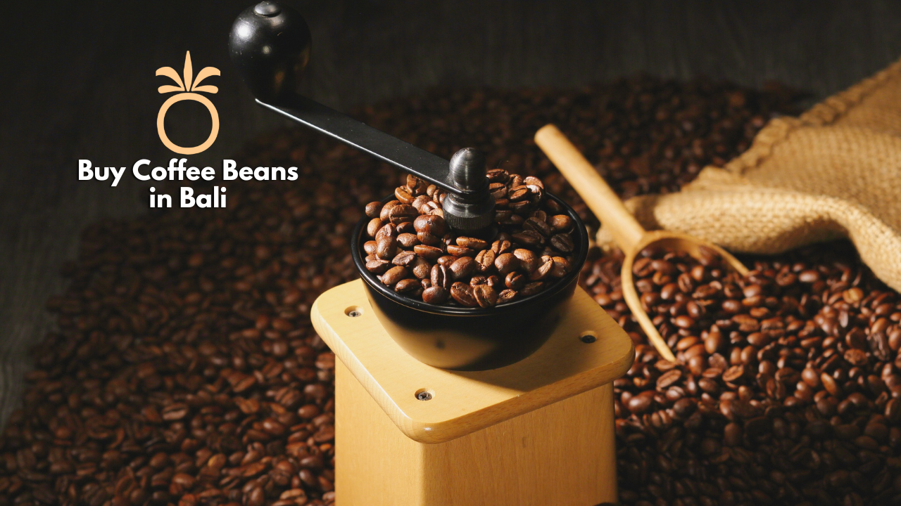 Buy Coffee Beans in Bali