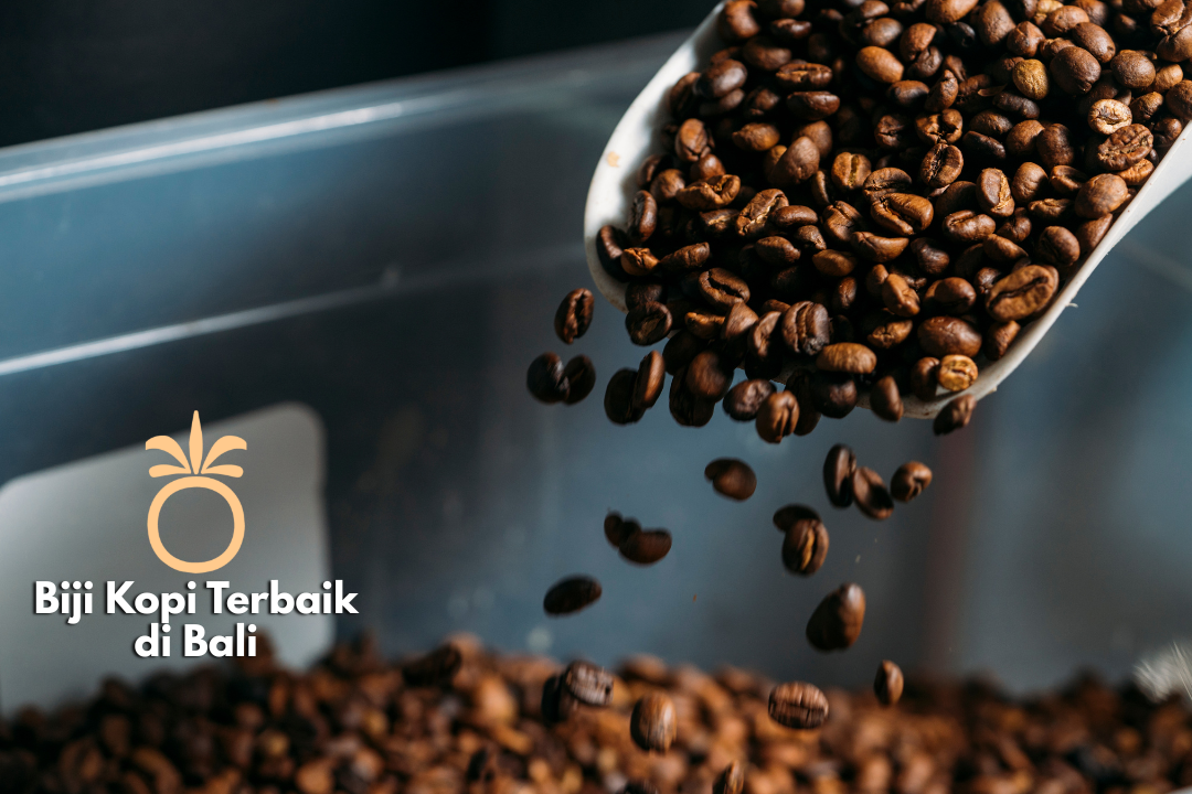 Beli Biji Kopi di Bali