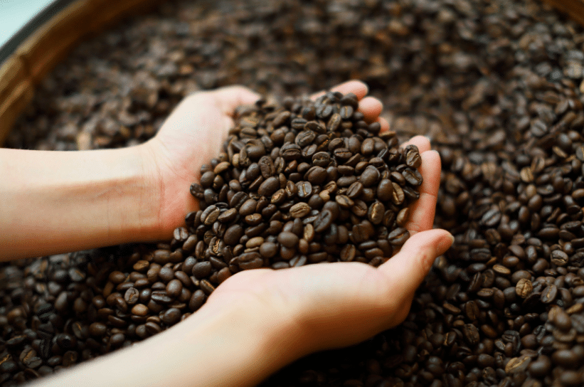 Coffee Beans Exporter Bali