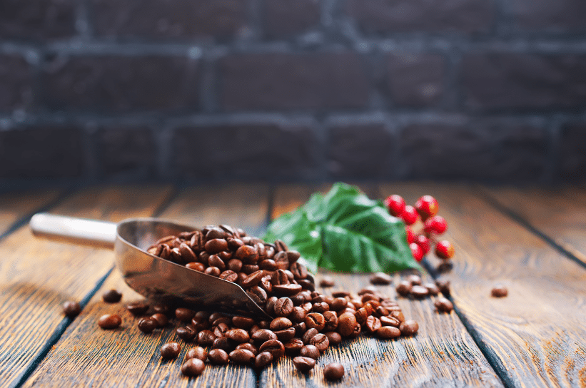 Coffee Beans Exporter Bali