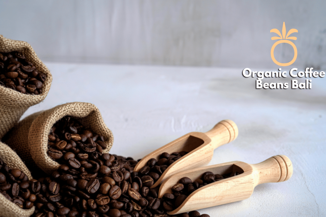 Organic Coffee Beans Bali