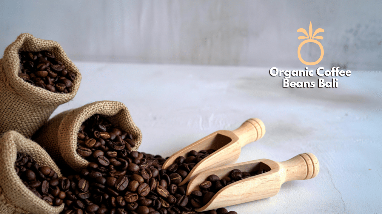 Organic Coffee Beans Bali