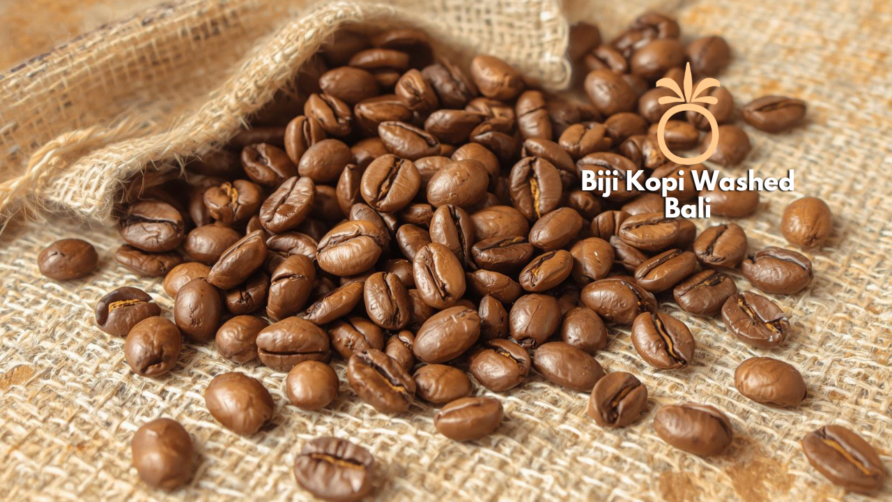 Biji Kopi Washed Bali