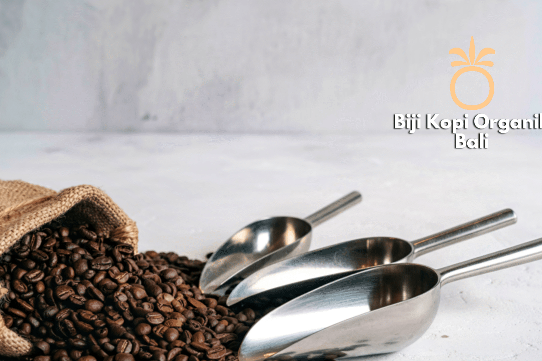Biji Kopi Organik Bali