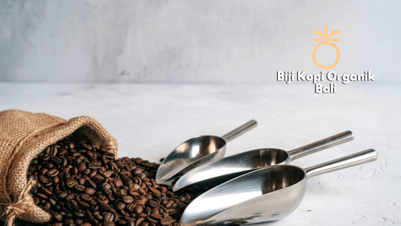 Biji Kopi Organik Bali