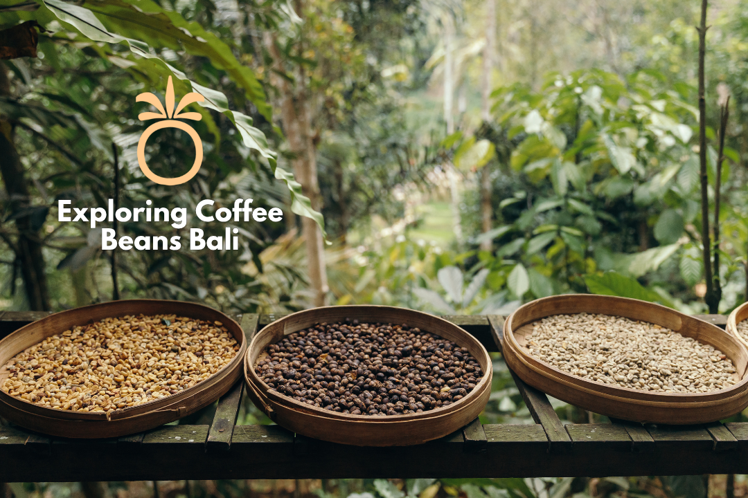 Exploring Coffee Beans Bali