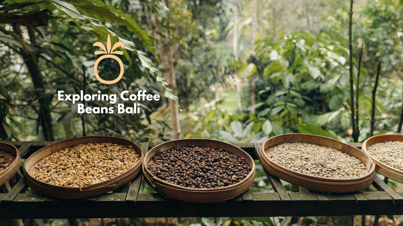 Exploring Coffee Beans Bali