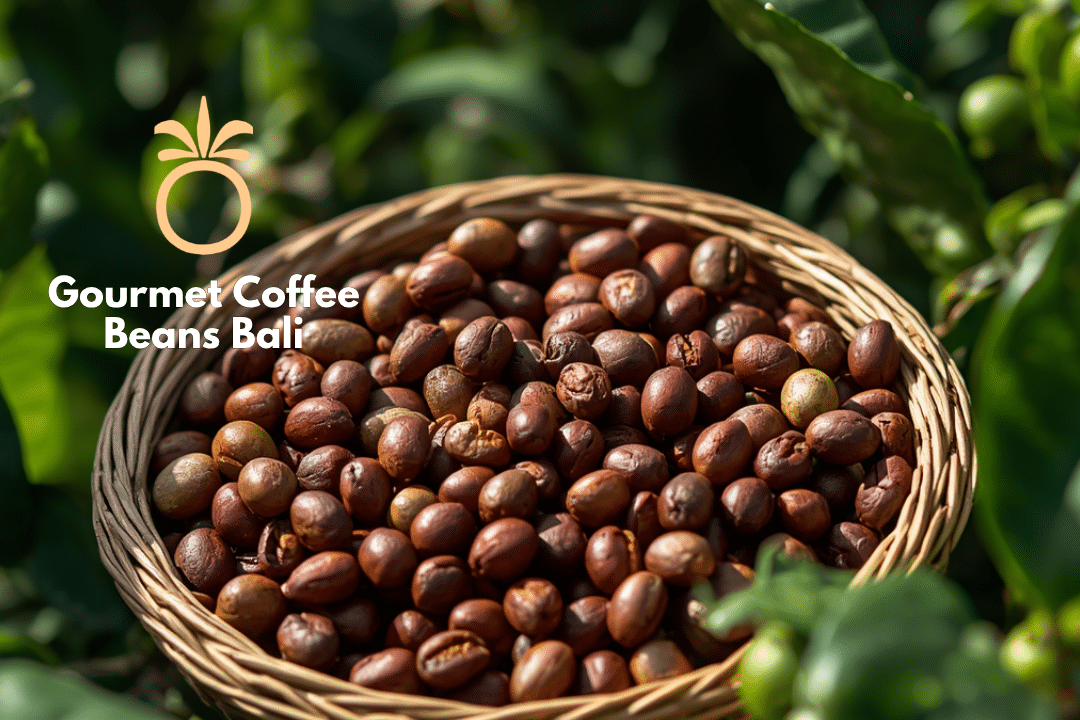 Gourmet Coffee Beans Bali