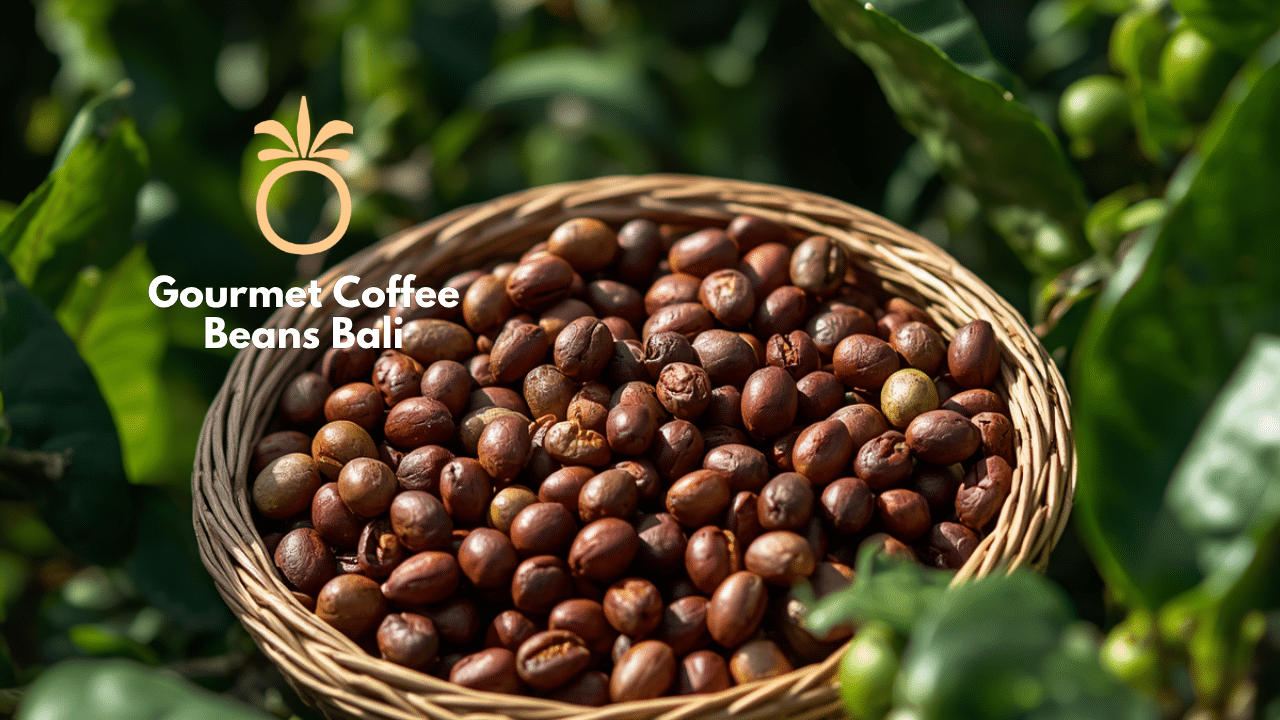Gourmet Coffee Beans Bali