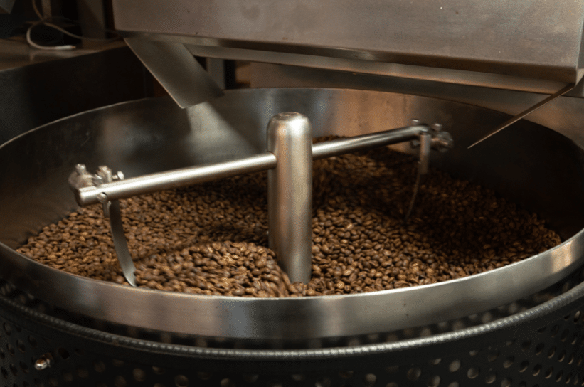 Exploring Coffee Beans Bali