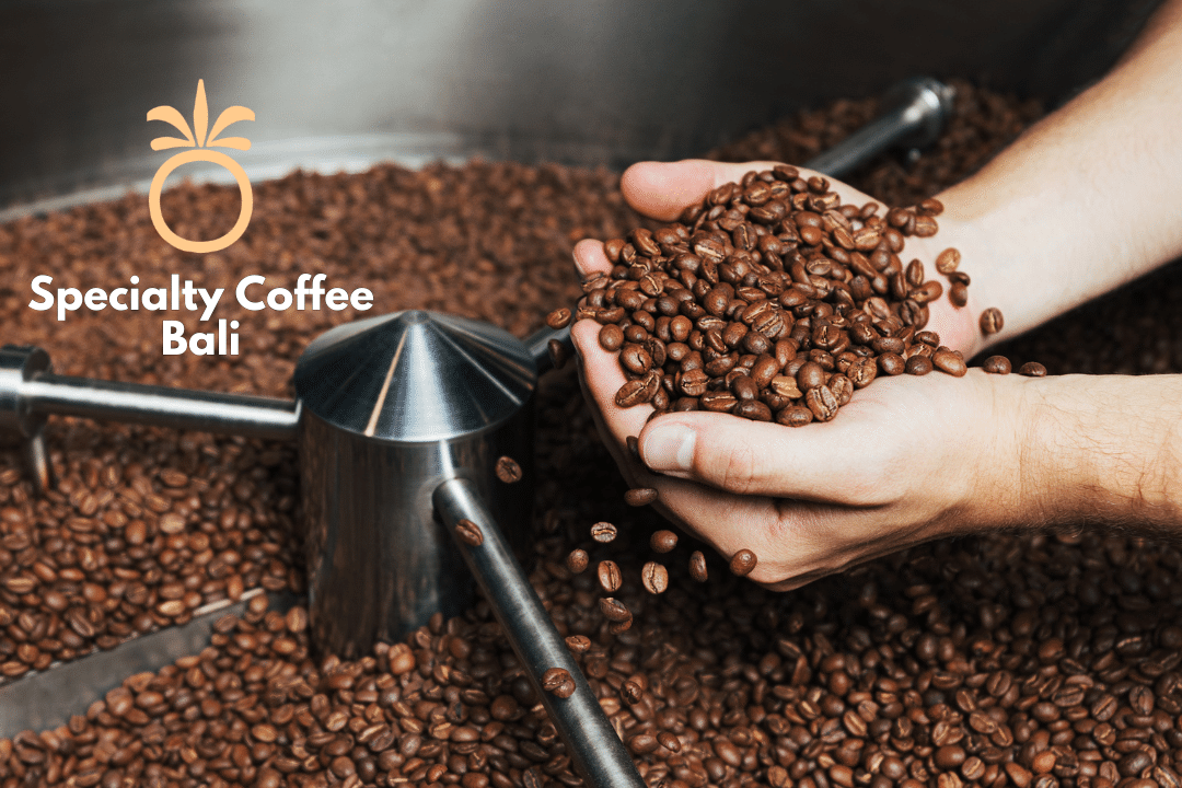 Specialty Coffee Bali