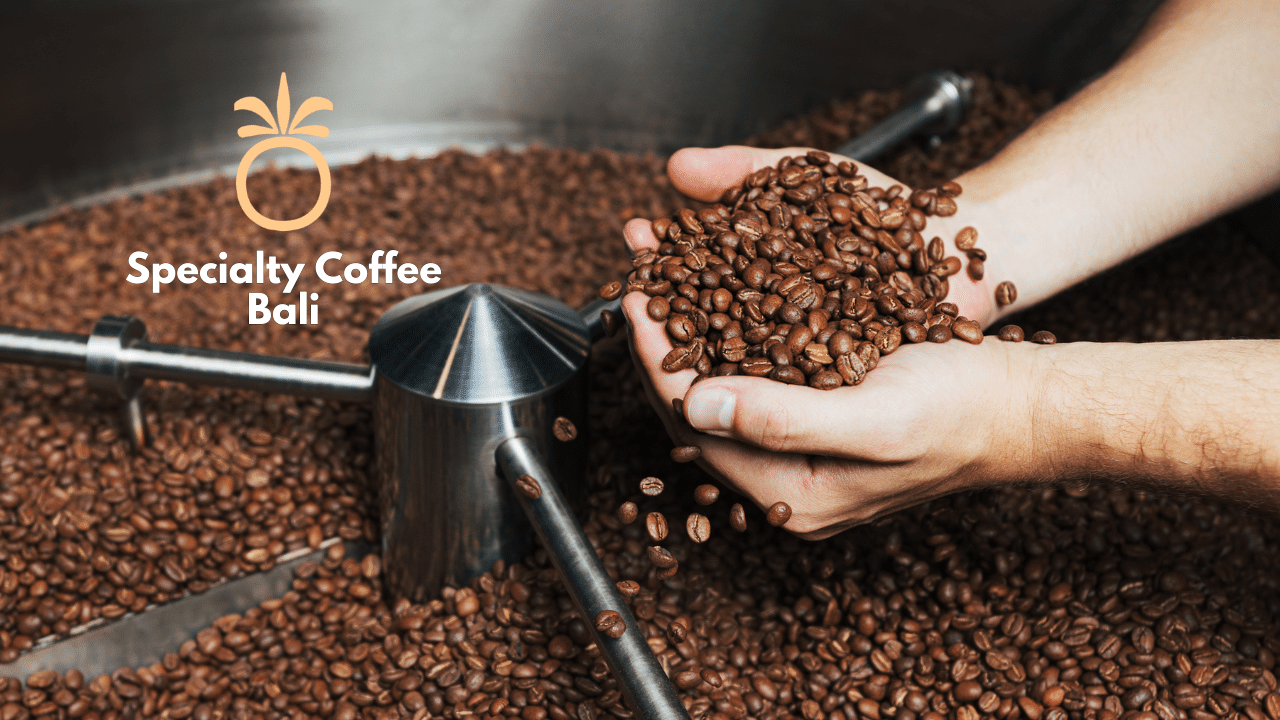 Specialty Coffee Bali