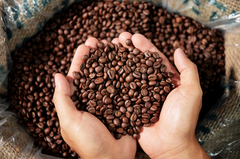 Bali Roastery Coffee Subscription